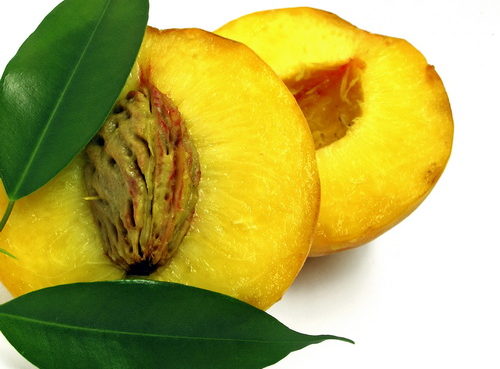 Piersica (Persica vulgaris) are calitati antitusive, laxative si diuretice